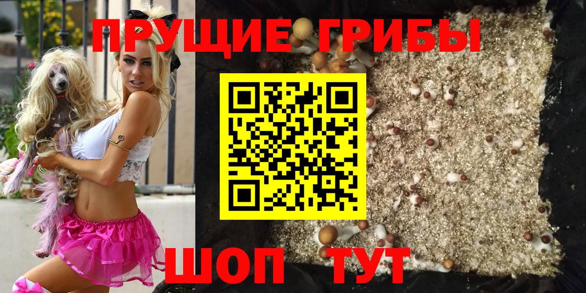 Галлюциногенные грибы Psilocybine cubensis Оренбург